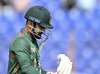 将成为一种 将成为一种